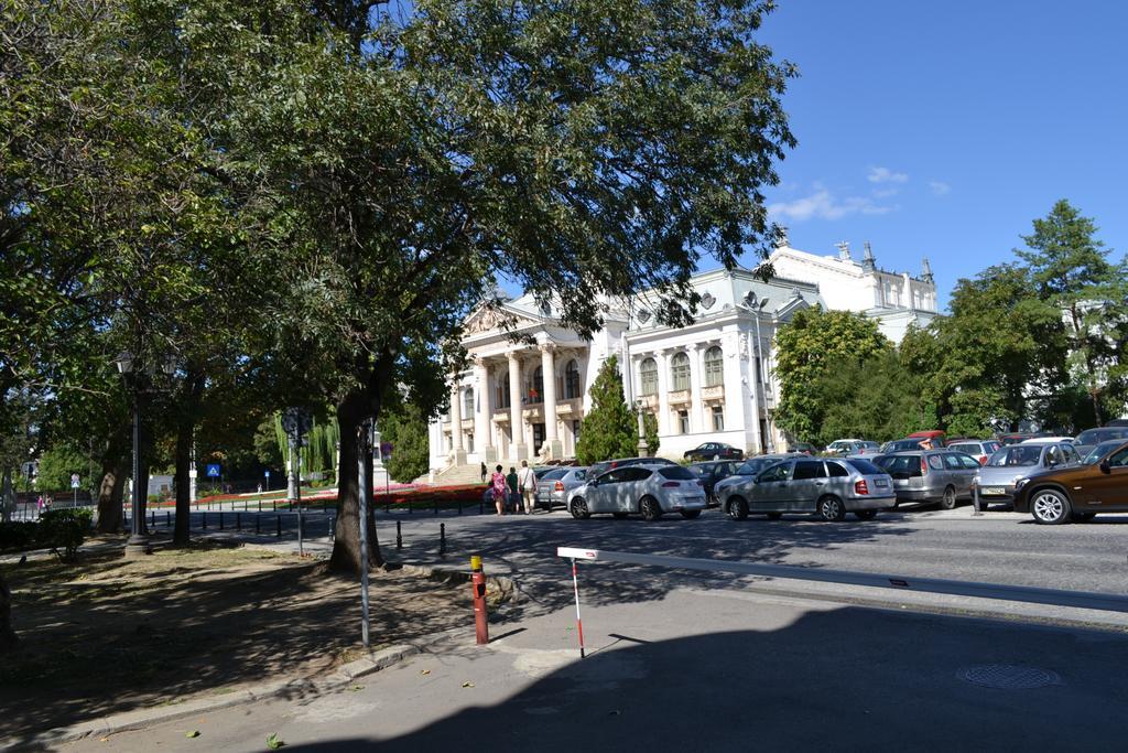 Casa De Oaspeti Sfantul Nicolae Iasi Buitenkant foto